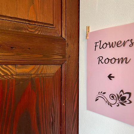 1912 - Flowers Room - Budget For Young Locarno Zewnętrze zdjęcie